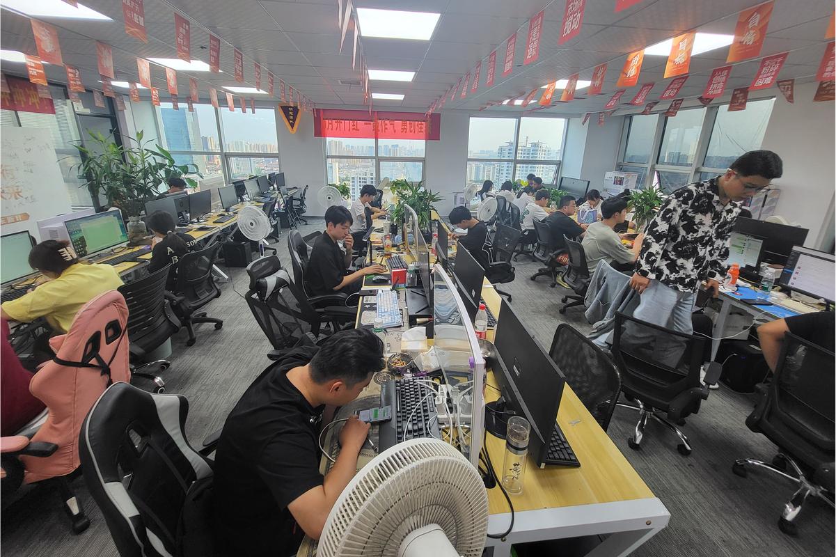 一般项目:网络与信息安全软件开发;技术服务,技术开发,技术咨询,技术